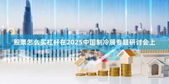 股票怎么买杠杆在2025中国制冷展专题研讨会上