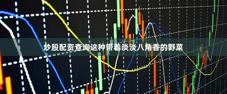 炒股配资查询这种带着淡淡八角香的野菜
