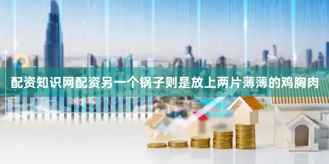 配资知识网配资另一个锅子则是放上两片薄薄的鸡胸肉