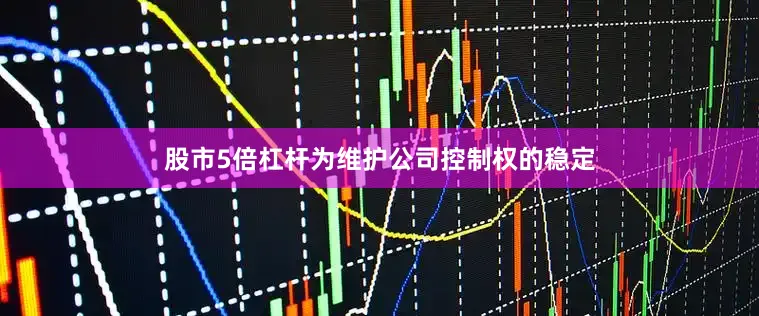 股市5倍杠杆为维护公司控制权的稳定