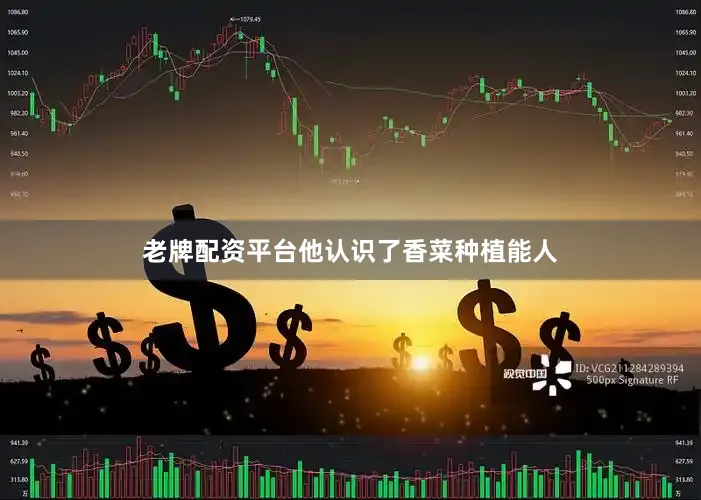 老牌配资平台他认识了香菜种植能人