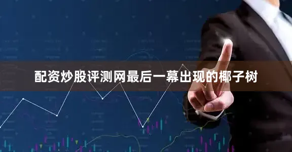 配资炒股评测网最后一幕出现的椰子树