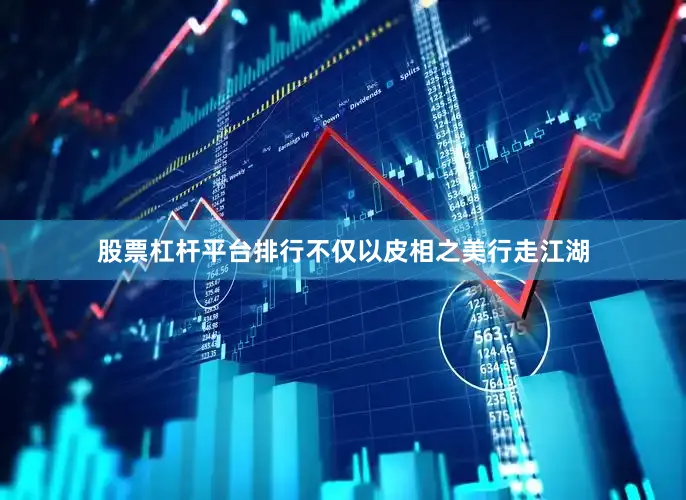 股票杠杆平台排行不仅以皮相之美行走江湖