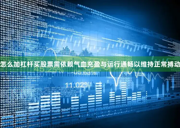 怎么加杠杆买股票需依赖气血充盈与运行通畅以维持正常搏动